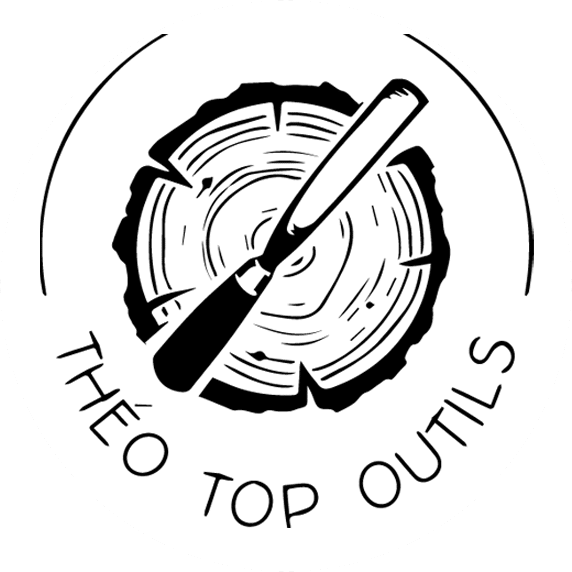 logo theo top outils 2